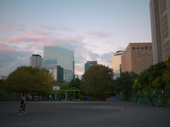 Shinjuku2