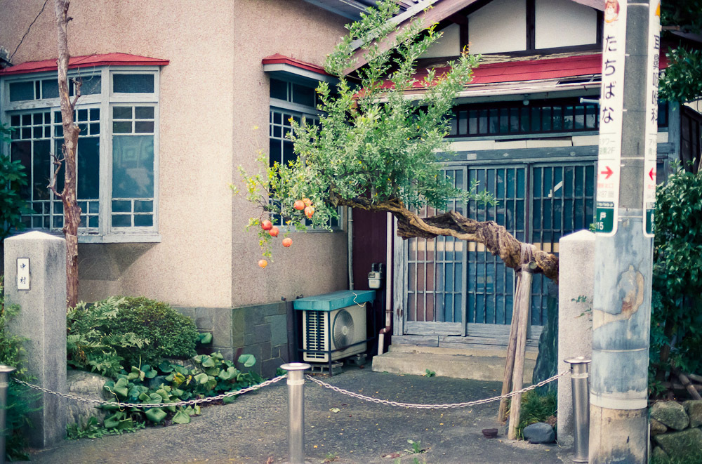 entrance