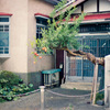 entrance