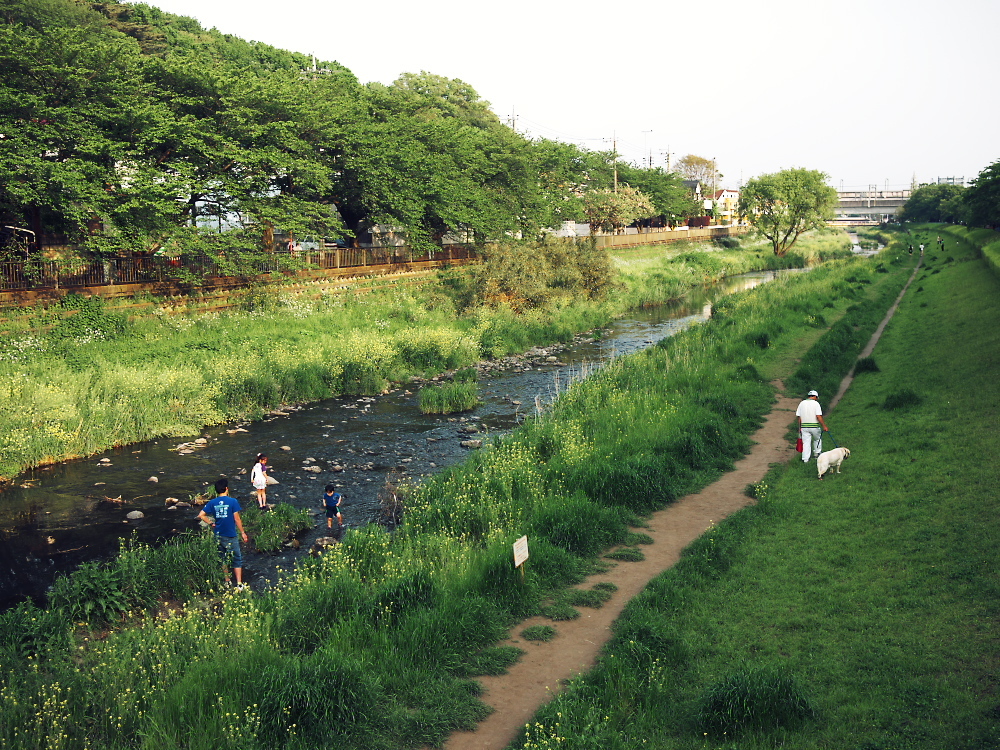 nogawa