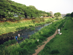 nogawa