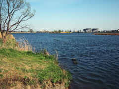 tamagawa02