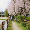 hanami2
