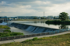 tamagawa