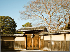 門
