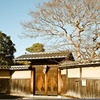 門