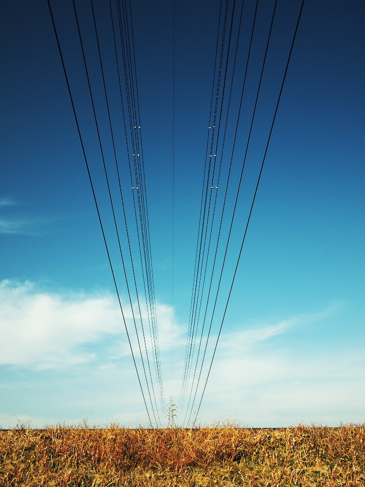 catenary