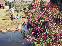 spring2