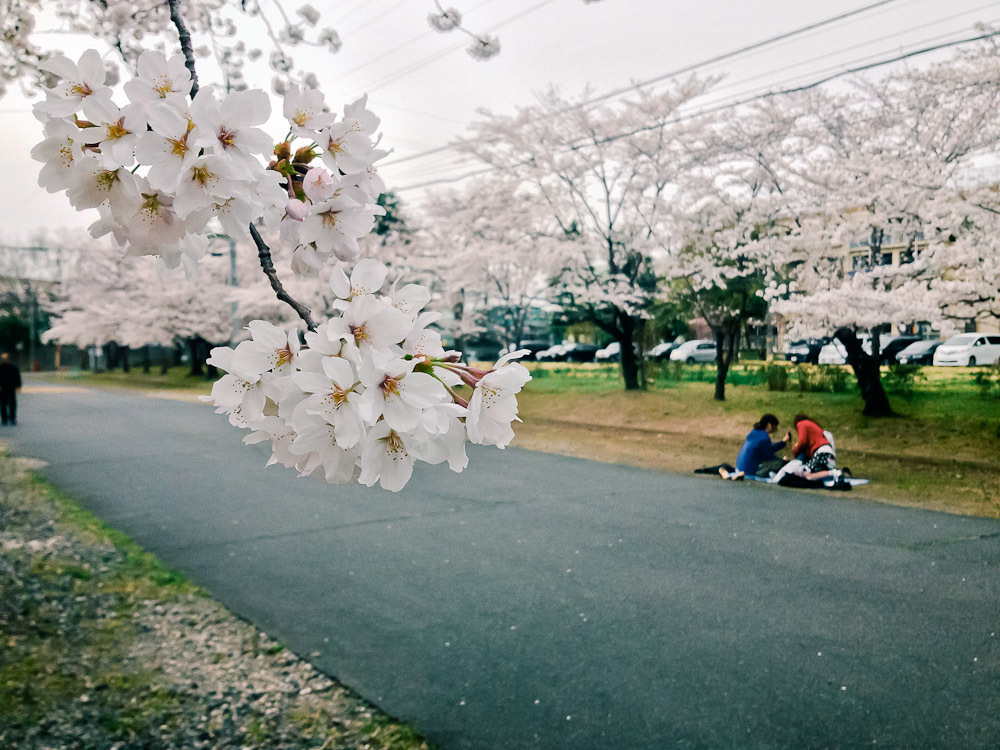 bloom#1