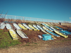 cohraboshi