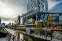 Skytree#01