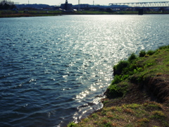 tamagawa01