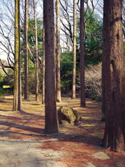 tree2