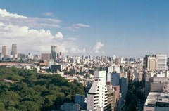 Shinjuku sky