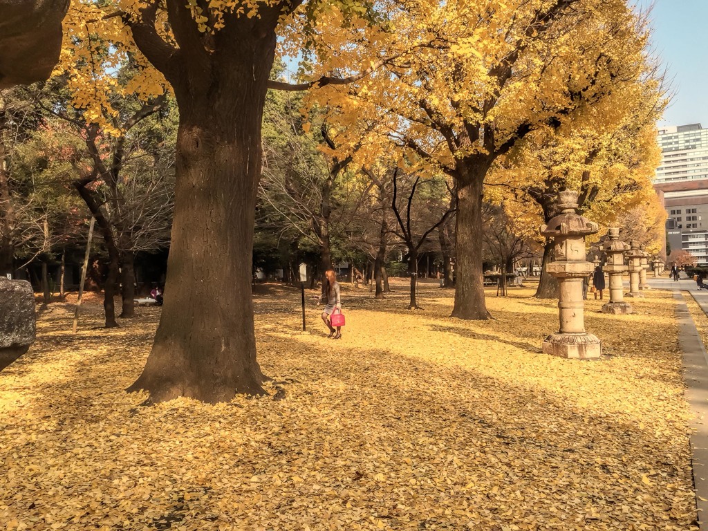 Yasukuni03