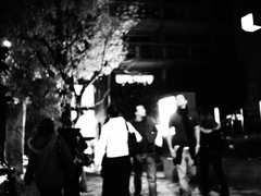 monochrome garden