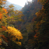 紅葉2