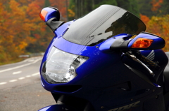 広島の紅葉とバイク　２