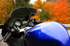 広島の紅葉とバイク