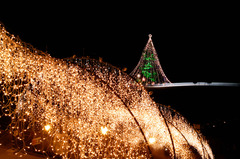 宮ヶ瀬X'mas