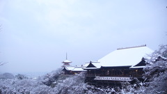 雪化粧