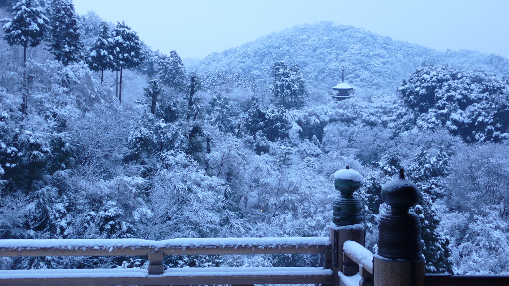 雪、舞台より