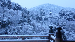 雪、舞台より