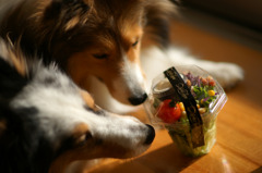 I L☆VE SALAD