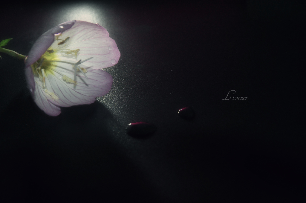 雫