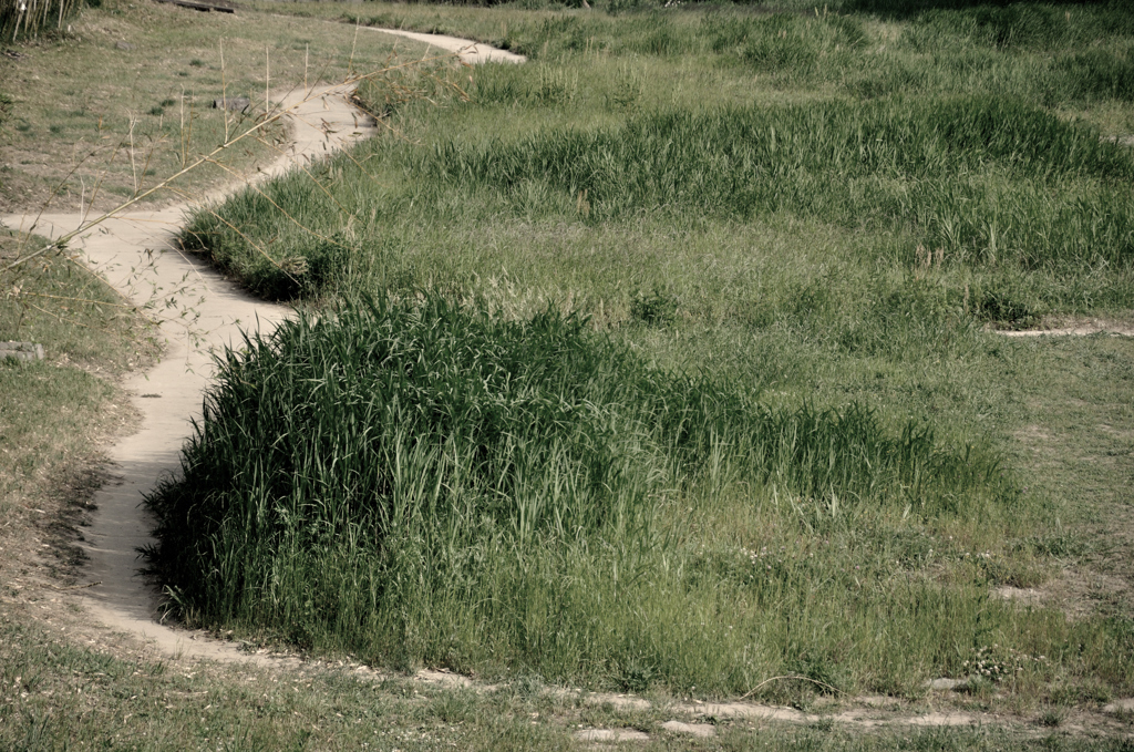 Road
