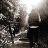 To The Light.