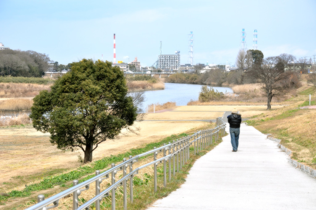 散歩道