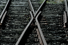 Forked road