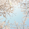 Pastel sky