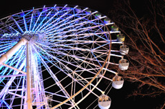 A Ferris wheel.