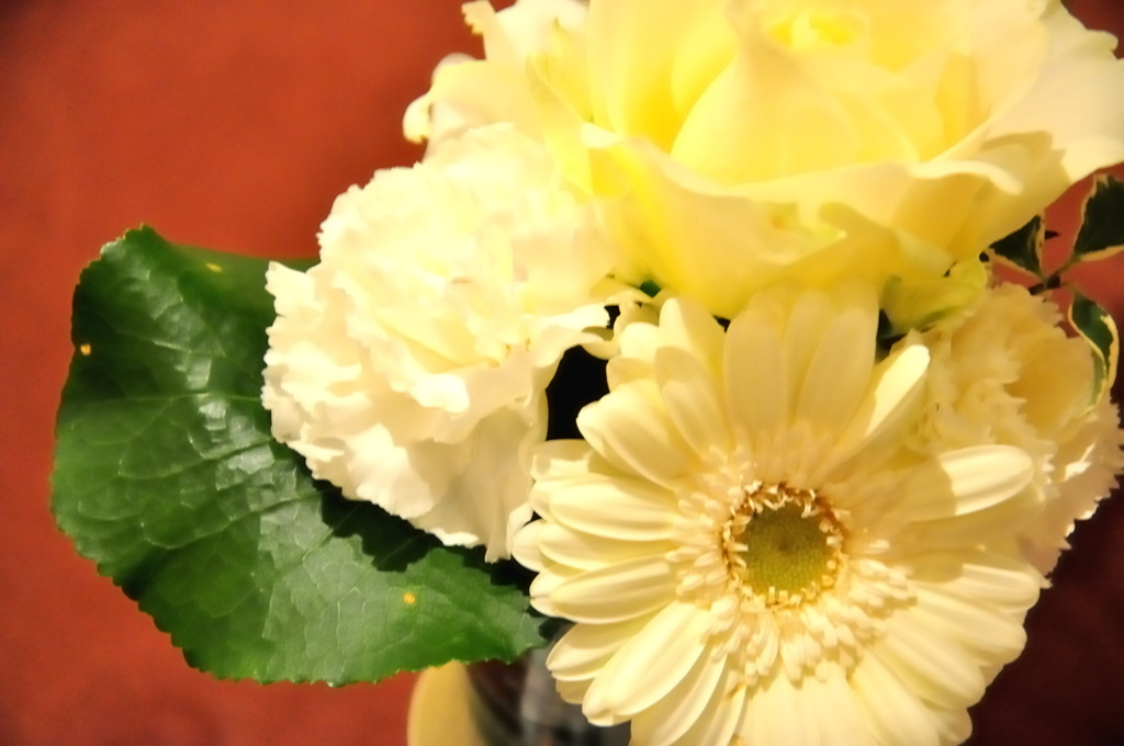 祝花