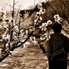 plum plus. -brother-
