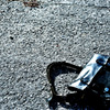 A lost article