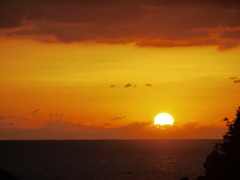 駿河湾に沈む太陽