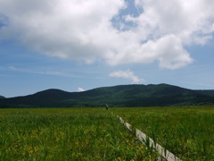 地上の楽園 雄国沼 3