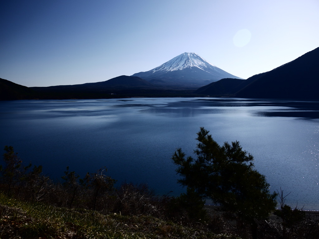 静寂の中の雄姿