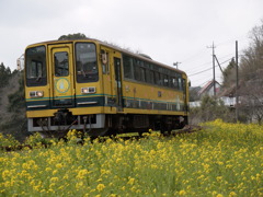 ナノハナ鉄道
