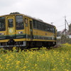 ナノハナ鉄道