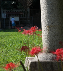 舞岡八幡宮にて