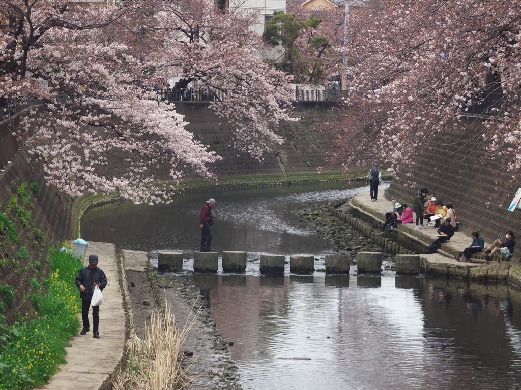 大岡川３