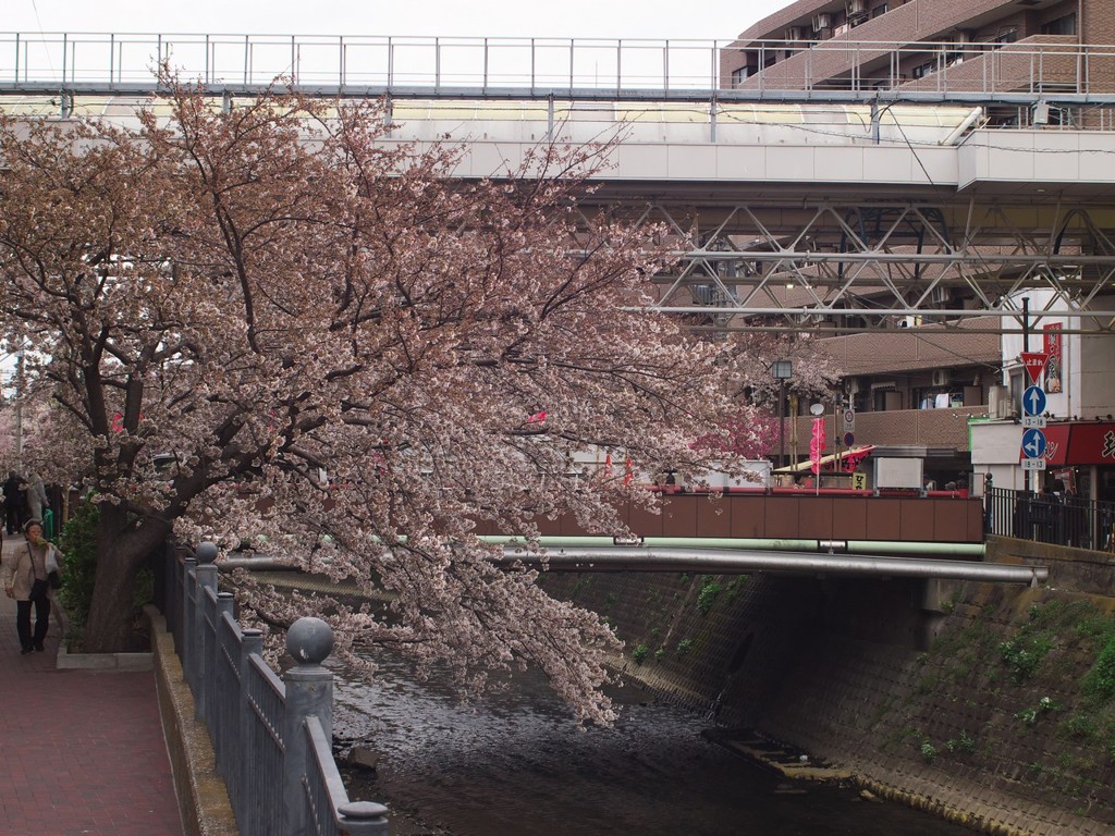 観音橋