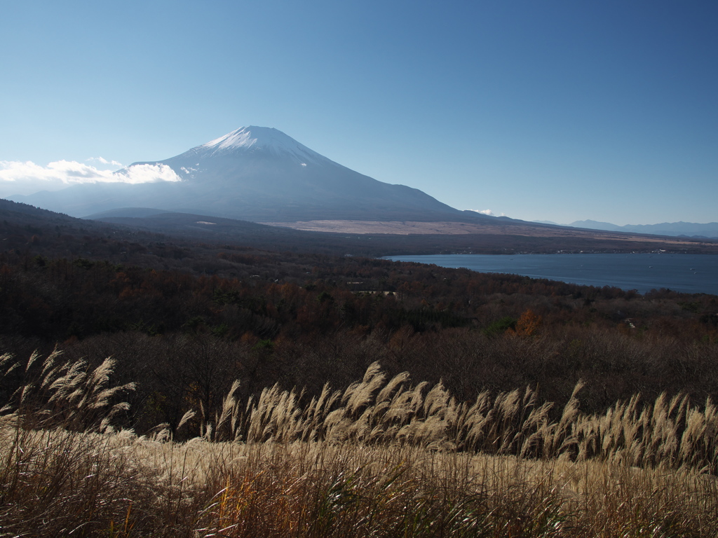 山中湖パノラマ台にて