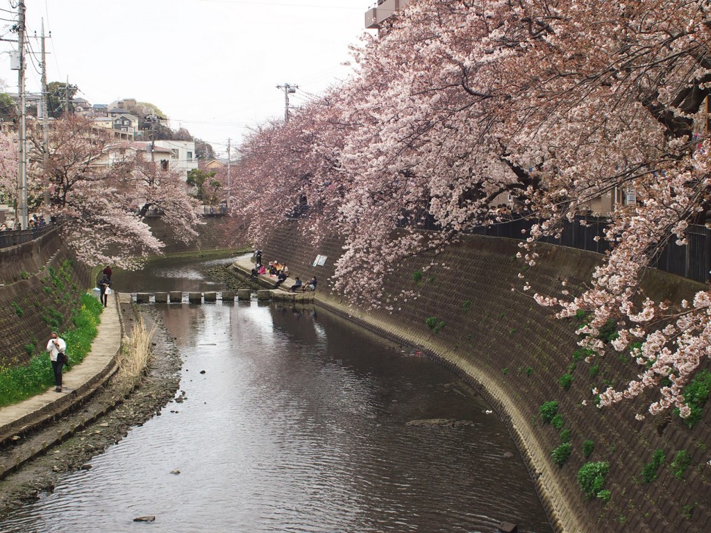 大岡川２