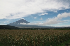 富士三景　玉蜀黍畑