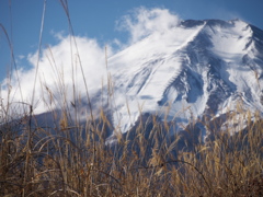 忍野から富士